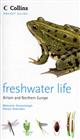 Collins Pocket Guide: Freshwater Life of Britain and Northern Europe