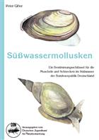 Süßwassermollusken: Ein Bestimmungsschlüssel für die Muscheln und Schnecken im Süßwasser der Bundesrepublik Deutschland