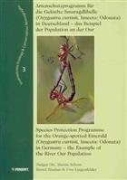 Artenschutzprogramm für die Gekielte Smaragdlibelle (Oxygastra curtisii,Insecta: Odonata) in Deutschland / Species Protection Programme for the Orange-spotted Emerald(Oxygastra curtisii, Insecta: Odonata) in Germany  das Beispiel der Population an derOur 