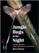 Jungle Bugs in the Night: Nocturnal Activities of Insects & Spiders in Tropical Forests of the World