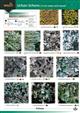 Guide to common urban lichens 1 (on trees and wood) (Identification Chart)