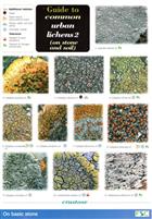 Urban Lichens 2 (on stone and soil) (Identification Chart)