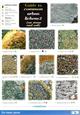 Urban Lichens 2 (on stone and soil) (Identification Chart)