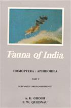 Homoptera: Aphidoidea 5: Drepanosiphinae (Fauna of India)