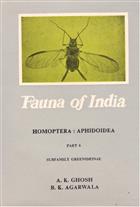 Homoptera: Aphidoidea 6: Greenideinae (Fauna of India)