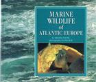 Marine Wildlife of Atlantic Europe