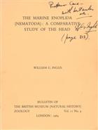 The Marine Enoplida (Nematoda): A Comparative Study of the Head