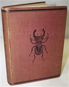 The Young Beetle-Collector's Handbook