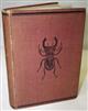 The Young Beetle-Collector's Handbook