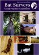 Bat Surveys: Good Practice Guidelines