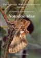 Palaearctic Macrolepidoptera 1: Notodontidae