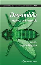 Drosophila: Methods and Protocols