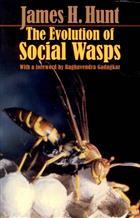 The Evolution of Social Wasps