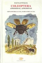 Coleoptera Aphodiidae (Fauna d'Italia 41)