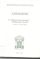 Collezione Imenotterologica di Massimiliano Spinola (Cataloghi I)