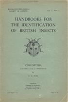 Coleoptera Coccinellidae and Sphindidae (Handbooks for Identification of British Insects 5/7)