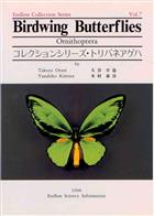 Birdwing Butterflies. Ornithoptera