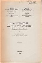The Evolution of the Pygostenini (Coleoptera Staphylinidae)