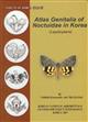 Atlas of Genitalia of Noctuidae in the Korea Insects of Korea 11