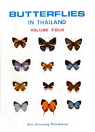 Butterflies in Thailand 4: Lycaenidae