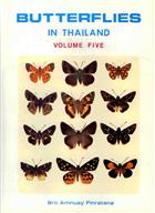 Butterflies in Thailand 5: Hesperiidae