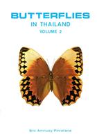 Butterflies in Thailand 2: Pieridae and Amathusiidae