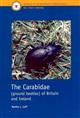 Coleoptera: Carabidae (Handbooks for the Identification of British Insects 4/2)