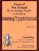 Carabidae (Coleoptera): synopsis of supraspecific taxa Fauna of New Zealand 60