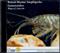 British Marine Amphipoda: Gammaridea 