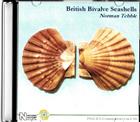 British Bivalve Seashells
