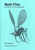 Moth Flies. Diptera: Psychodidae