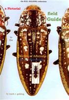 A Pictorial Field Guide to the Beetles of Australia. Part 2: Cicindelidae