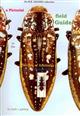 A Pictorial Field Guide to the Beetles of Australia. Part 2: Cicindelidae