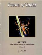 Fauna of India: Spider Vol. III: Arachnida: Araneae: Oxyopidae