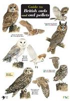 Guide to British Owls and owl pellets  (Identification Chart)