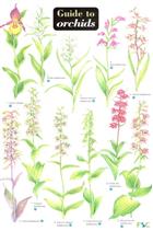 Guide to Orchids (Identification Chart)