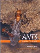 Ants of New Zealand