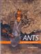 Ants of New Zealand