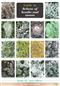 Guide to Lichens of heaths and moors (CHART) (Identification Chart)