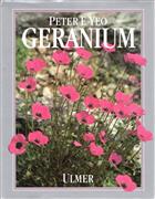 Geranium: Freiland-Geranien für Garten und Park
