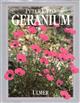 Geranium: Freiland-Geranien für Garten und Park