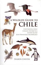 A Wildlife Guide to Chile