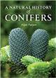 A Natural History of Conifers