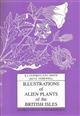 Illustrations of Alien Plants of the British Isles