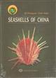 Seashells of China