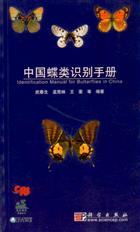 Identification Manual for Butterflies in China