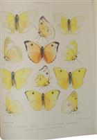 Monograph of the genus Callidryas