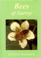 Bees of Surrey