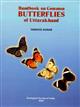 Handbook on Common Butterflies of Uttarakhand