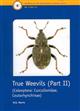 True Weevils 2: Coleoptera (Curculionidae, Ceutorhynchinae)  (Handbooks for the Identification of British Insects 5/17c)